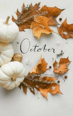 white pumpkins and autumn leaves with the word october written in black on it's side