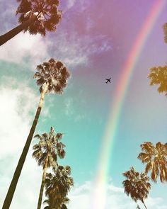 a plane flying over palm trees under a rainbow