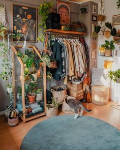 a room filled with lots of potted plants and hanging clothes on the wall next to a round rug