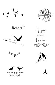 some birds are flying around with words on the back and side of their wings that say,