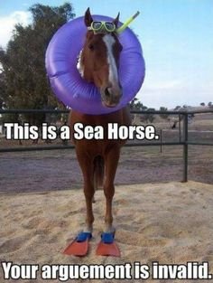 a horse with a blue frisbee in it's mouth and caption that says, i'm a seahorse your argument is invalid