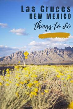 yellow flowers and mountains with the words las cruces new mexico things to do