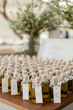 several bottles of olive oil on a table with tags in front of them and a potted plant behind it