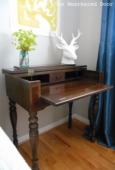 a desk with a deer head on it