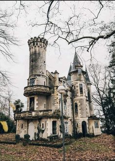 an old abandoned house in the middle of trees with leaves on the ground around it