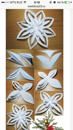 paper snowflakes are cut out to look like flowers