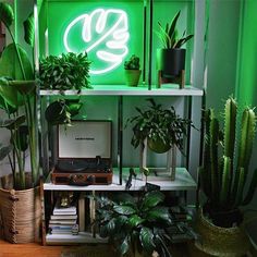 a green neon sign above a shelf filled with potted plants