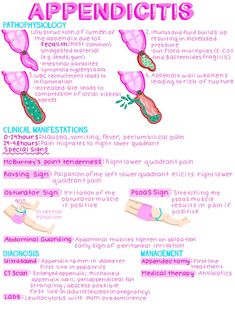 an info sheet with instructions on how to use the appendicities for women's health