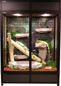 a display case with plants and rocks in it