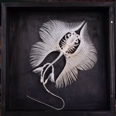 an image of a white flower in a shadow box