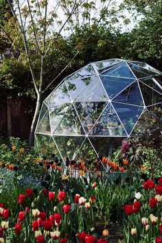 a garden filled with lots of red and yellow flowers next to a large glass dome