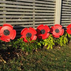 Make your own garden poppies Poppy Flower Craft Veterans Day, Remembrance Day Poppies, Remembrance Day Displays, Veterans Day Bulletin Board For School, Poppy Decorations Ideas, Poppy Craft Ideas, Diy Poppy Flower, Remembrance Day Decor, Remembrance Day Bulletin Board Ideas