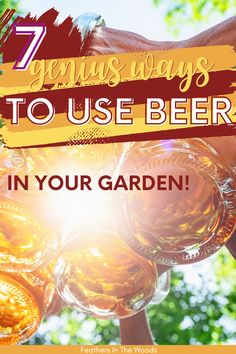 a person holding two glasses with beer in it and the words 7 genius ways to use beer in your garden