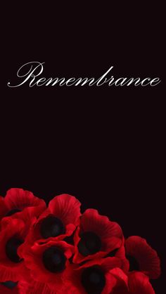 some red flowers on a black background with the words remembrance written in white lettering above them