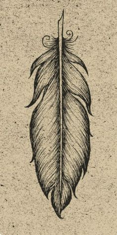 a black and white drawing of a feather