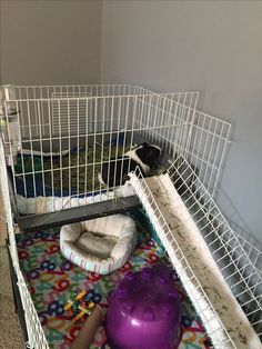 a cage that has a ball in it on the floor next to a purple ball