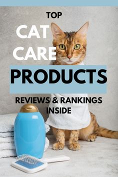 the top cat care products reviewed and ranks inside by pet lovers in america, including an image of a cat with a towel on it's head