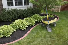 a wheelbarrow in the middle of a garden