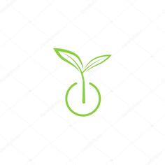 a green plant in a round vase logo