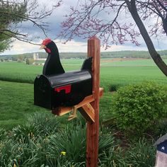 a mailbox in the shape of a chicken