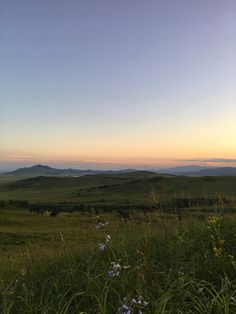 the sun is setting over an open field with wildflowers and mountains in the distance