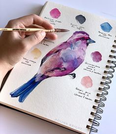 a hand is holding a pencil and drawing a watercolor bird on a page in a notebook