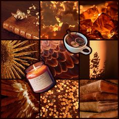 Moth Moodboard, Brown Moodboard, Fall Moodboard, Oc Inspo, Board Inspiration