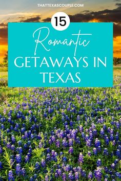 blue flowers with the words romantic getaways in texas on it and an image of a