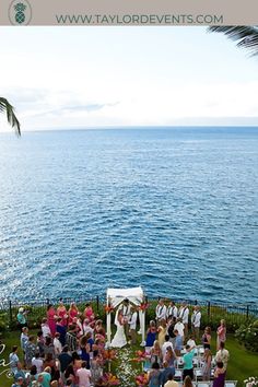 an outdoor wedding by the ocean with people standing in front of it and looking out at the water