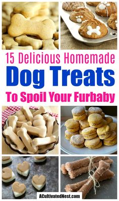 some dog treats are shown with the words, 15 delicious homemade dog treats to spoil your furbaby