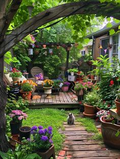 a cat sitting in the middle of a garden with potted plants and flowers around it