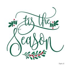 it's the season hand lettering with holly leaves and red berries on white background