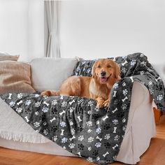 a brown dog laying on top of a couch covered in a black and white blanket