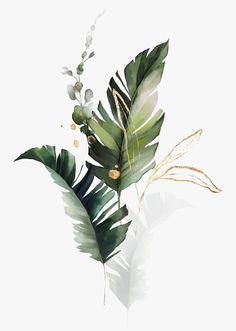 Are you a plant lover? Do you want to bring more life and greenery into your home? If so, this watercolour leaf illustration could be just what you're looking for! Printed on smooth paper stock this stunning botanical print will be the perfect addition to any living or office space. This minimal print is Ideal for those who love nature and would be perfect as a birthday, anniversary or house warming gift. DETAILS * High quality giclée print created on acid free 230gsm smooth paper.  * Printed using archival, fade resistant Epson Ultra Chrome HDR inks. * Frame not included, however prints will drop perfectly into most ready made frames. (NEW: Framed prints coming soon!) * All attempts have been made to capture the true colour of the prints as they are in real life, however there may be vari Plant Art Print, Leaf Illustration, Wallpapers Quotes, Tropical Wall Art, Quotes Celebrities, 수채화 그림, Tapeta Pro Iphone, Helen Mirren, Lukisan Cat Air