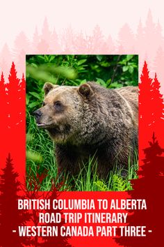 a brown bear standing on top of a lush green forest covered in red and white text