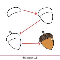 an acorn is shown with arrows pointing to the different leaves and nuts on it