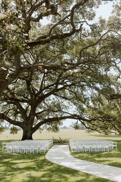 an outdoor ceremony setup with white chairs under a large tree