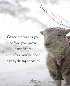 a sheep standing in the snow with a quote about grace embraces you before you prove anything and after you've done everything wrong