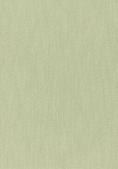 a light green background with small white dots