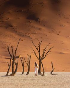 a woman standing in the desert between two dead trees