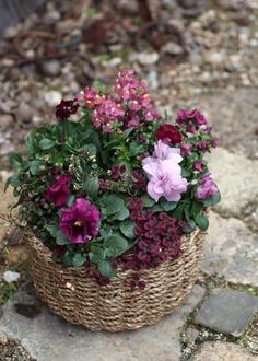 a basket filled with flowers sitting on top of a stone walkway