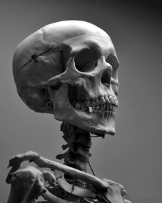 the skeleton of a human is shown in this black and white photo, it looks like he