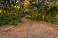 a dirt road surrounded by trees and bushes