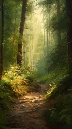 a painting of a path in the woods with sun shining through the trees and green foliage