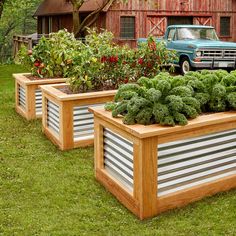 three wooden planters with vegetables in them on the grass near a truck and barn