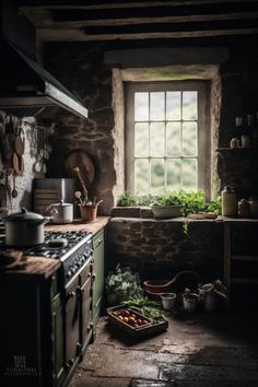 an old fashioned kitchen with stone walls and green plants in the window sill on the counter