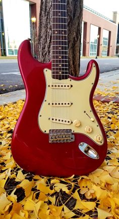 a red electric guitar sitting next to a tree on top of yellow leaves in front of a building