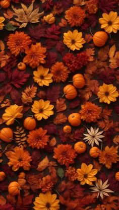 an image of fall flowers and pumpkins on the ground in front of a black background