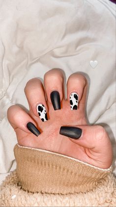 Cow Print Nails Matte, Nails Inspiration Cow Print, Cow Print Accent Nails, Black Nails With Cow Print, Black Cow Nails, Cow Print Nails Coffin, Cow Print Nails Black, Black Cow Print Nails, Black Gel X Nails