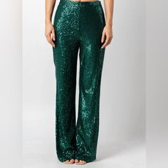 Nwt Gorgeous Sequined Pants Bling Outfits, Silver Trousers, Sequin Flare Pants, Glitter Pants, Sequin Pants, Holiday Apparel, Loose Trousers, Trouser Style, Women's Boutique